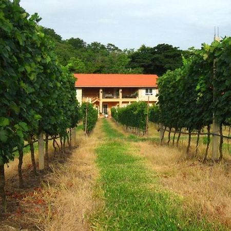 Granmonte Wine Cottage Phayayen 外观 照片