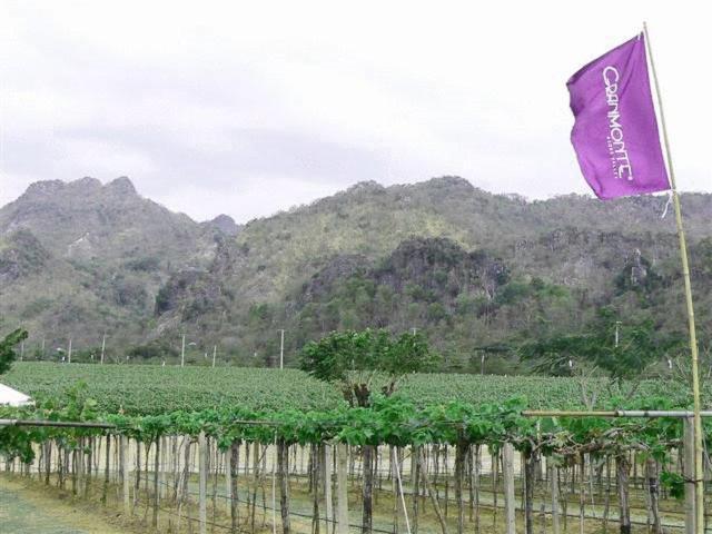 Granmonte Wine Cottage Phayayen 外观 照片