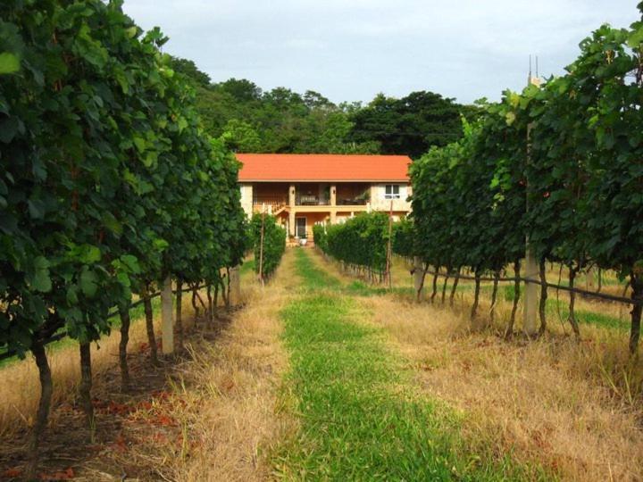 Granmonte Wine Cottage Phayayen 外观 照片