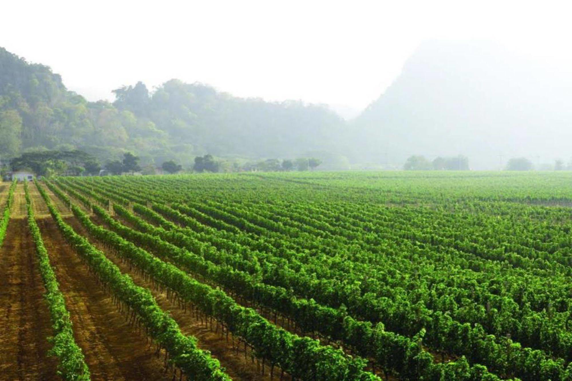 Granmonte Wine Cottage Phayayen 外观 照片