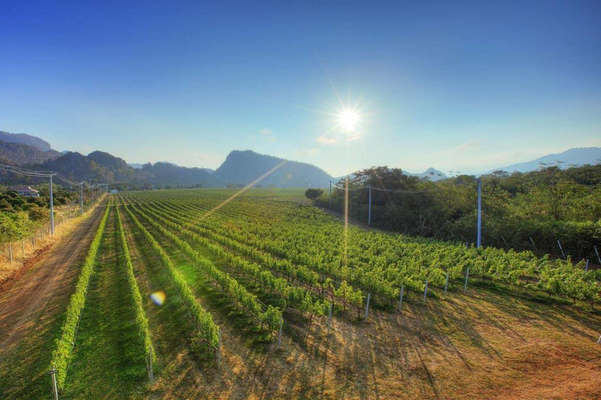 Granmonte Wine Cottage Phayayen 外观 照片
