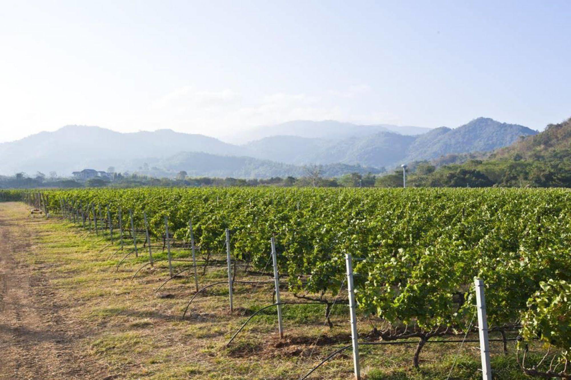 Granmonte Wine Cottage Phayayen 外观 照片