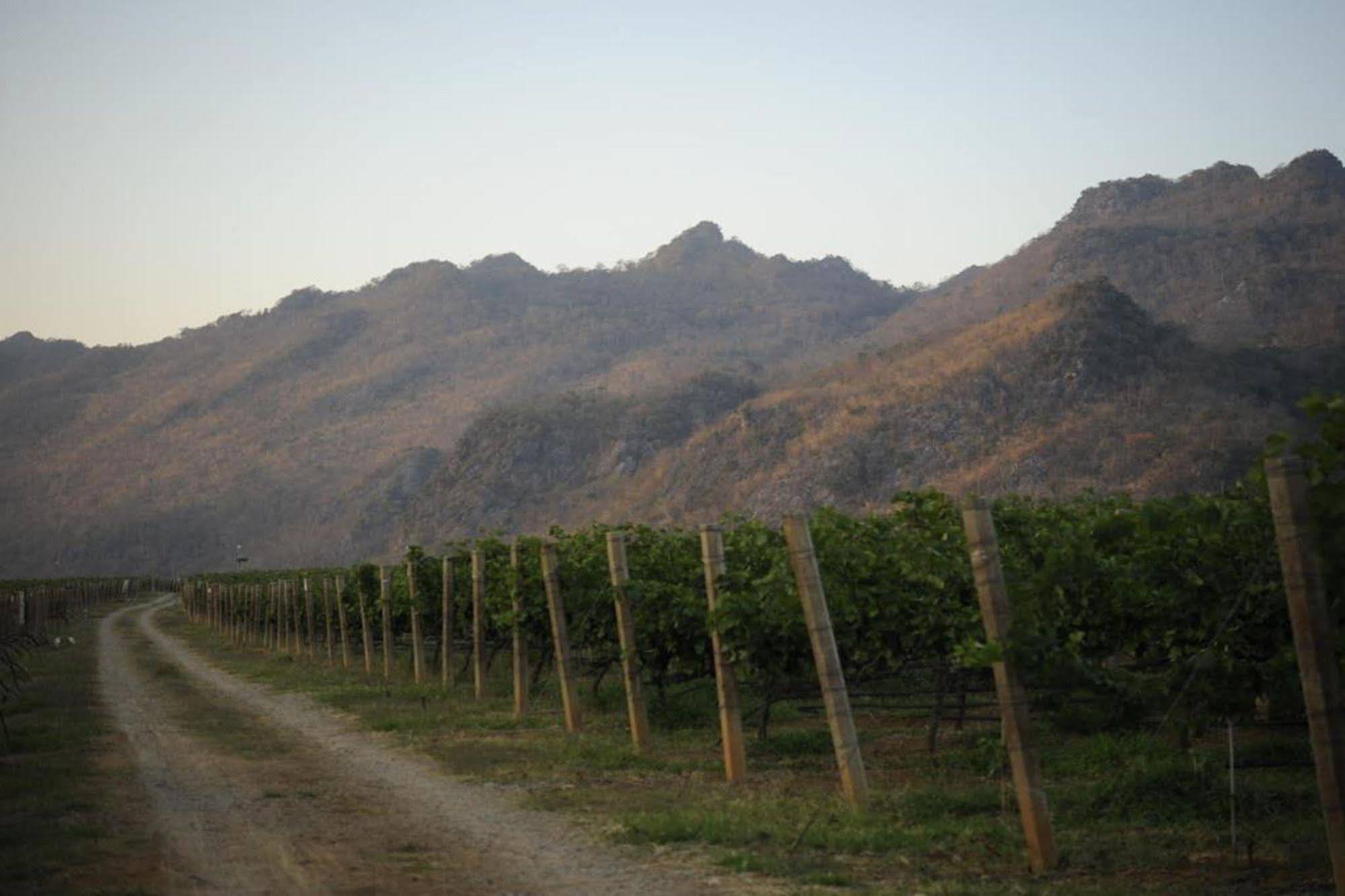 Granmonte Wine Cottage Phayayen 外观 照片