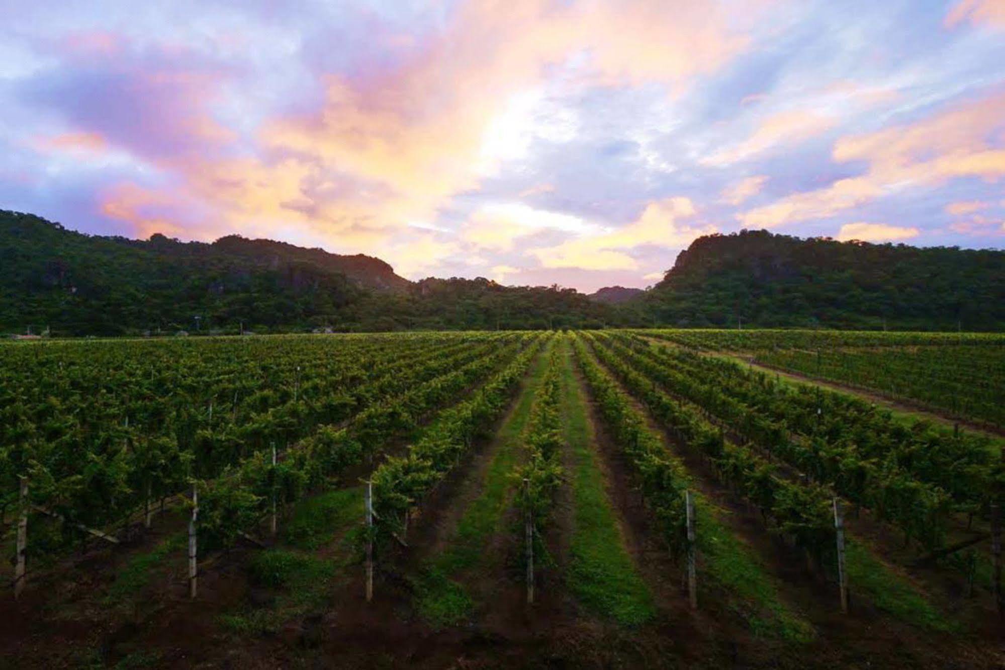 Granmonte Wine Cottage Phayayen 外观 照片